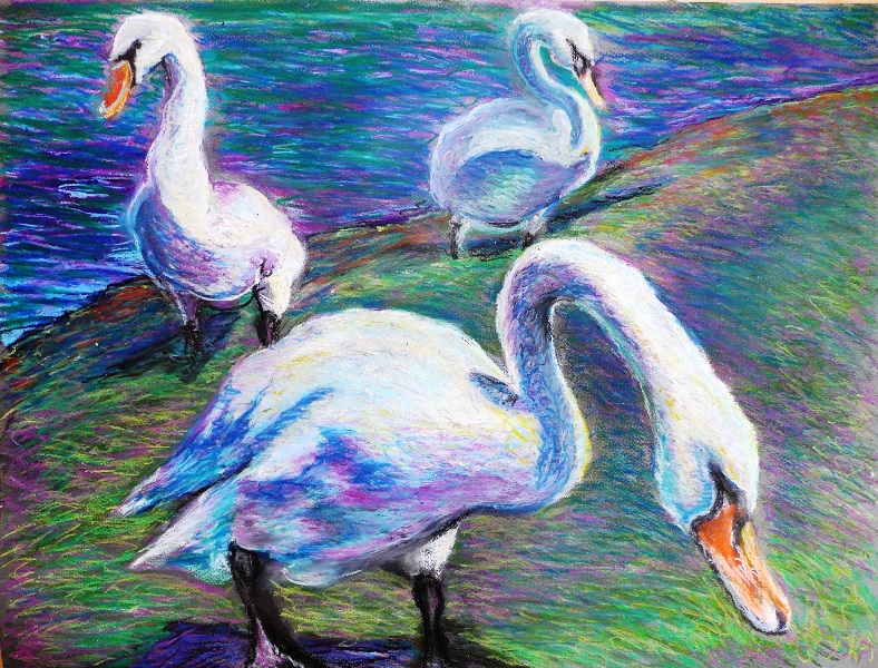 The three swans that were really men